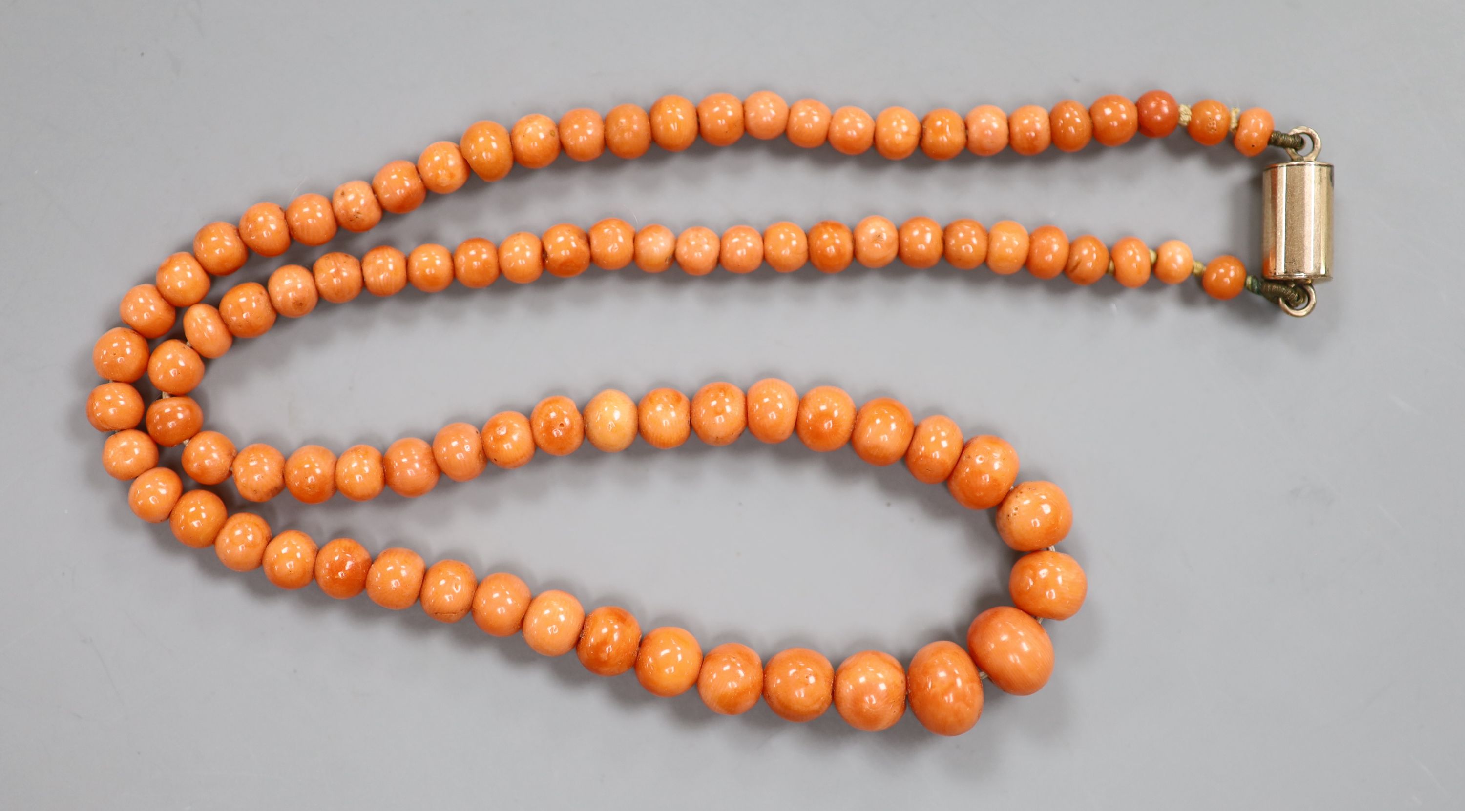 A single strand graduated coral bead necklace, with barrel shaped clasp, 44cm, gross 24.8 grams.